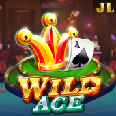 Wild Ace aa455 slot
